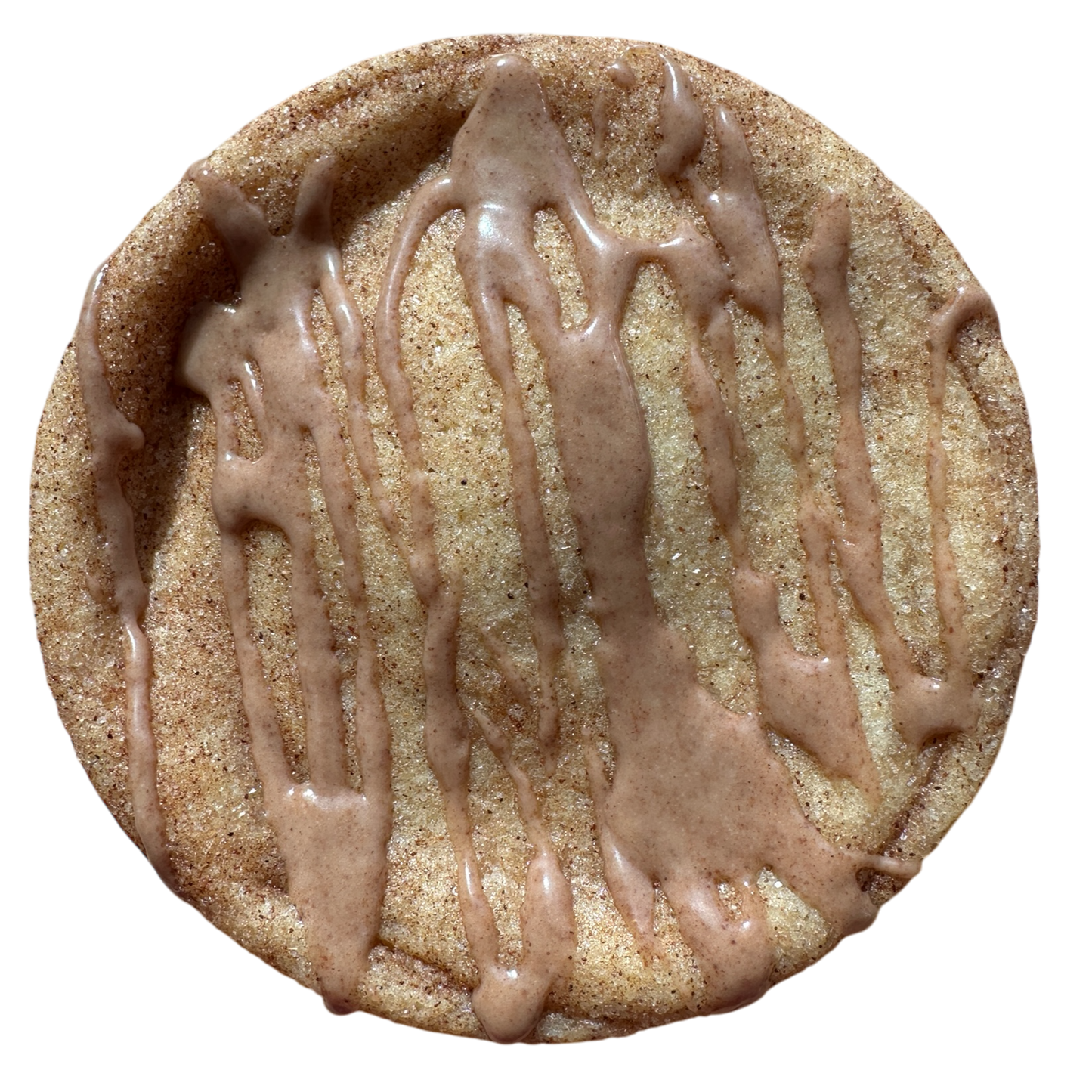 Not Your Grandmas Snickerdoodle